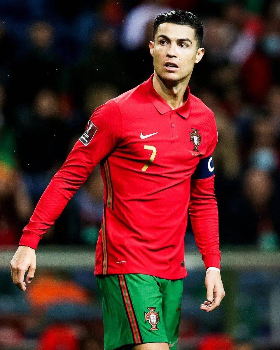 这句话不仅 这句话不仅