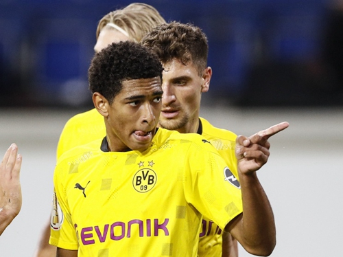 探究灰熊与 探究灰熊与