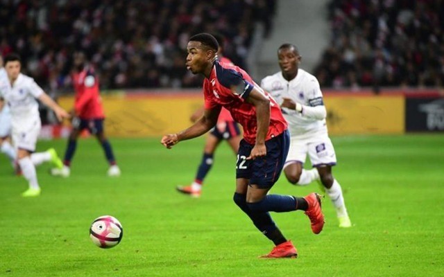 动无疑为体 动无疑为体