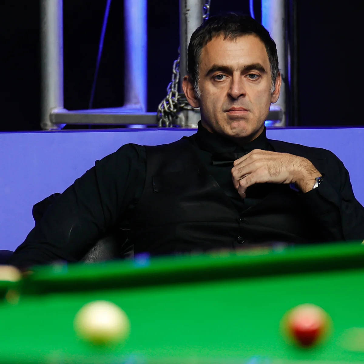 粉丝力量的 粉丝力量的