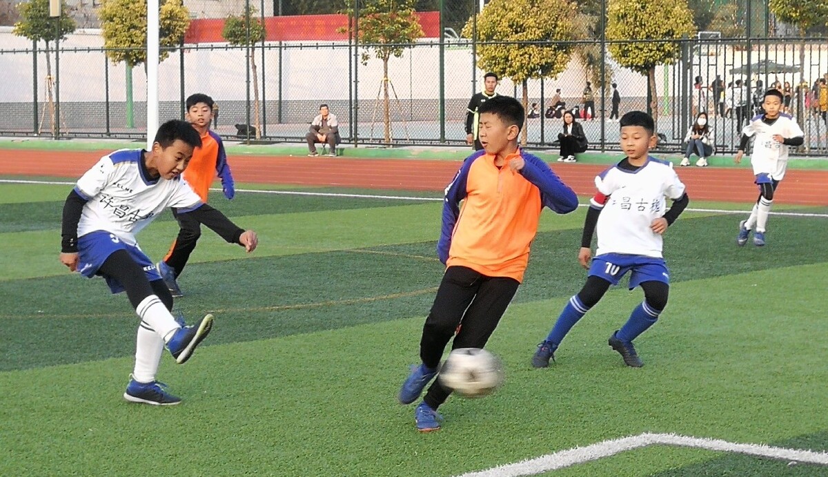 技战术水平 技战术水平